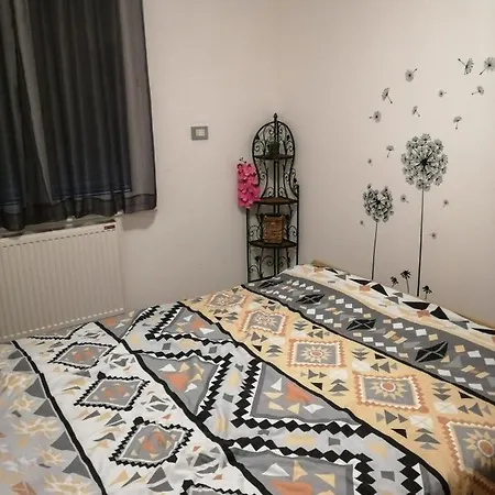 Siesta * Gornji Milanovac